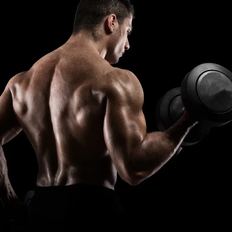 https://ativofit.com.br/top-5-exercicios-para-biceps/