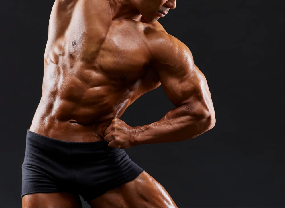 definição muscular